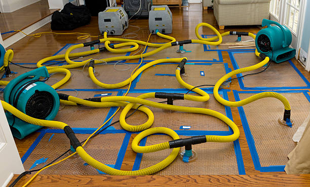 Professional Storm Water Damage Restoration technician working in Chapmanville, WV
