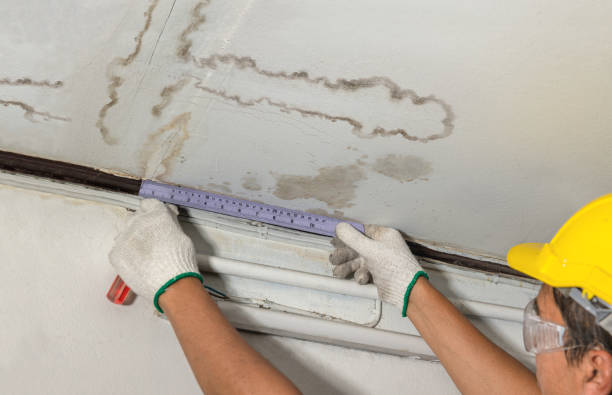 Affordable Water Damage Repair solutions in Chapmanville, WV
